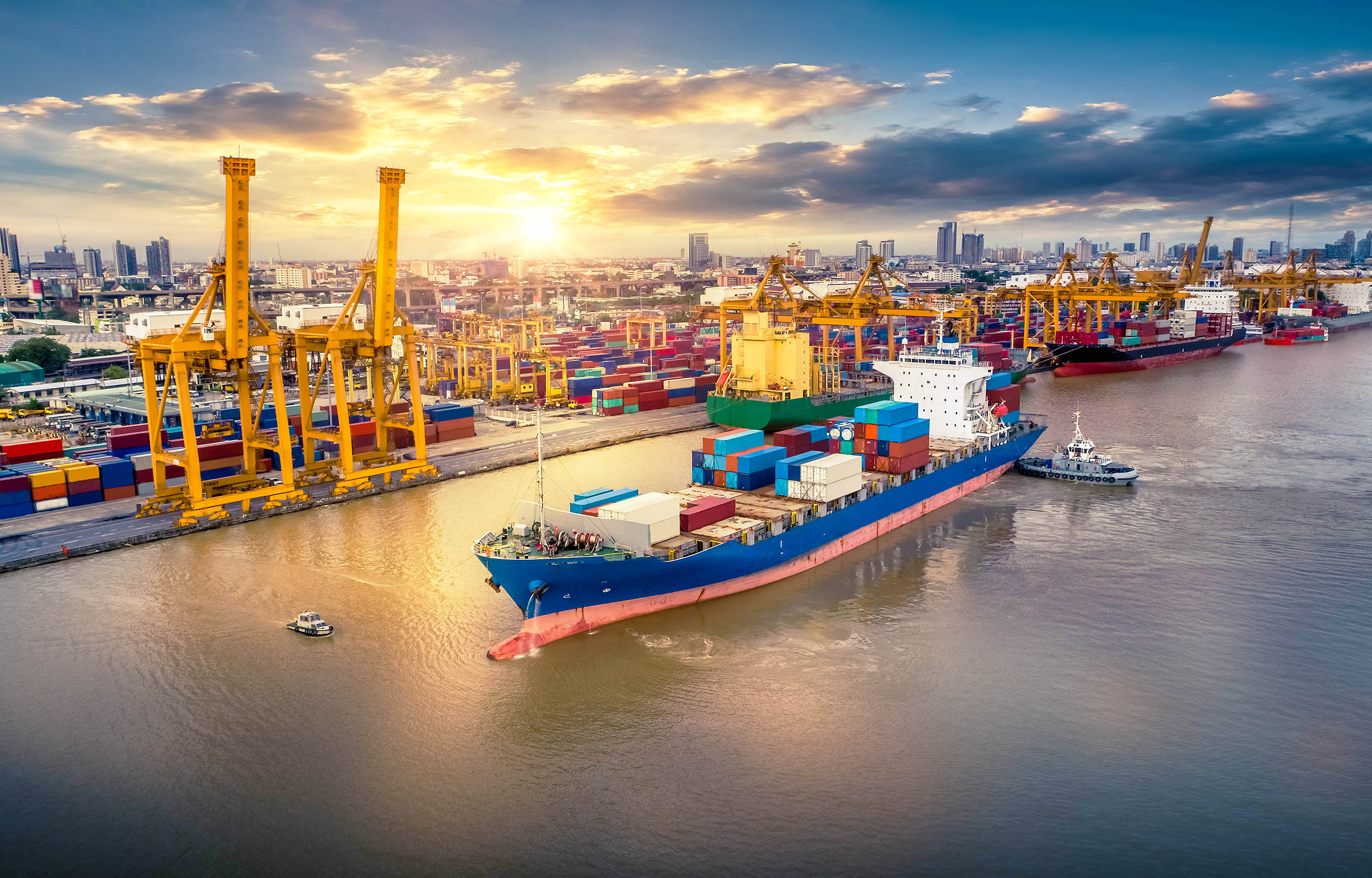 Global Shipping Trade Disruptions